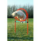 PET-MANIA - Agility Ring, 115�� 3 cm, � 65 cm