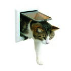 PET-MANIA - Katzent�r "FreeCat de Luxe", 4-Wege, Tunnel, wei�