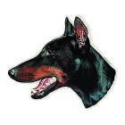 PET-MANIA - Aufkl. Dobermann, kupiert, (K)