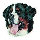 PET-MANIA - Aufkl. Berner Sennenhund, (K)