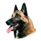 PET-MANIA - Aufkl. Malinois, (K)